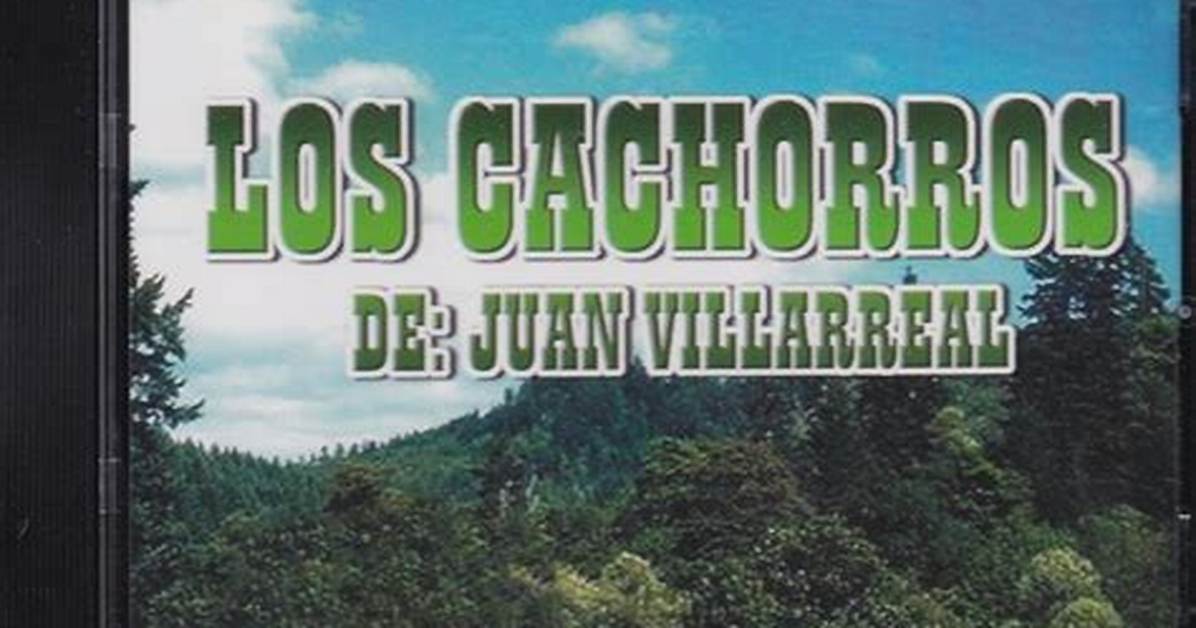 Los Cachorros De Juan Villareal Net Worth