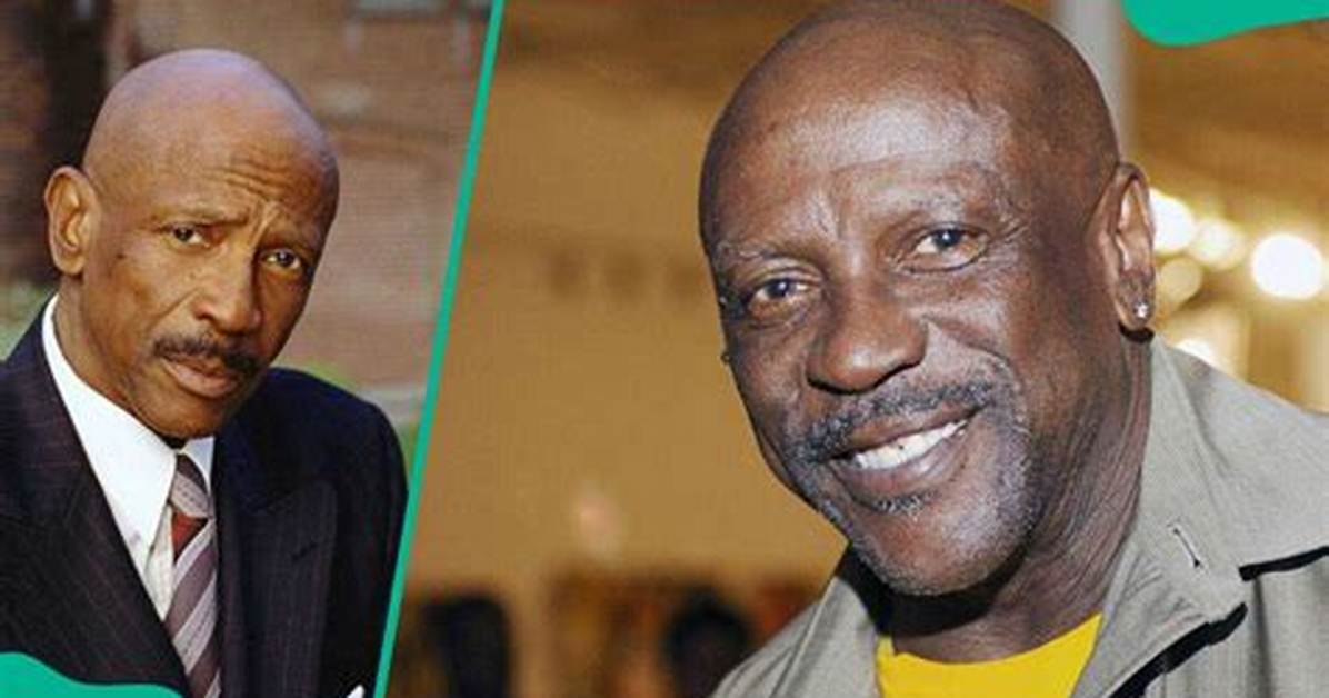 Louis Gossett Jr Net Worth 2024: a Comprehensive Look at the Oscar-Winning Actor's Wealth