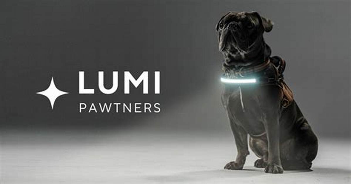 Lumi Dog Harnesses: the Ultimate Solution for Your Pet's Comfort and Safety