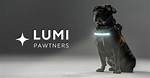 Lumi Dog Harnesses: the Ultimate Solution for Your Pet's Comfort and Safety