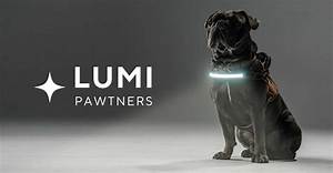 Lumi Dog Harnesses: the Ultimate Solution for Your Pet's Comfort and Safety