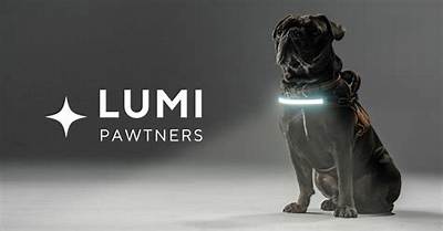 Lumi Dog Harnesses: the Ultimate Solution for Your Pet's Comfort and Safety