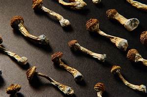 Magic Mushrooms Q&A: Your Guide to Shrooms