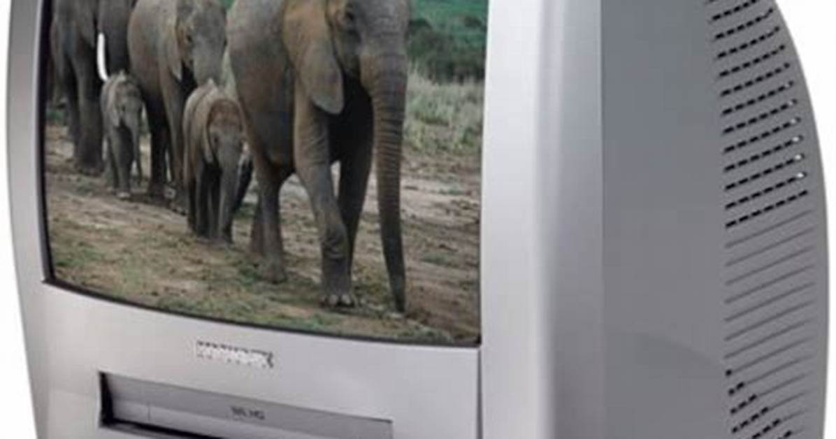 Magnavox Tv