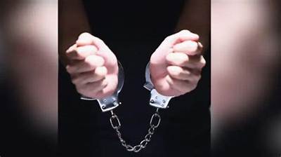 Man Held for Duping Japanese Tourist of Rs 23 Lakh in Taj City