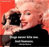 Marilyn Monroe: 'Dogs Never Bite Me - Just Humans.'