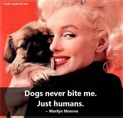 Marilyn Monroe: 'Dogs Never Bite Me - Just Humans.'