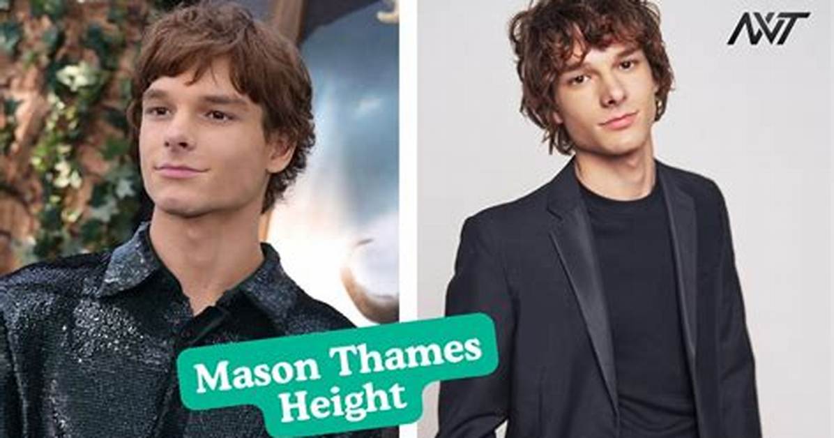 Mason Hilton Height, Weight, Net Worth, Age, Birthday, Wikipedia, Who, Nationality, Biography
