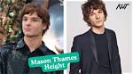 Mason Hilton Height, Weight, Net Worth, Age, Birthday, Wikipedia, Who, Nationality, Biography