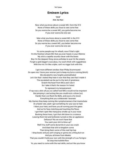 Meaning of 313 by Eminem