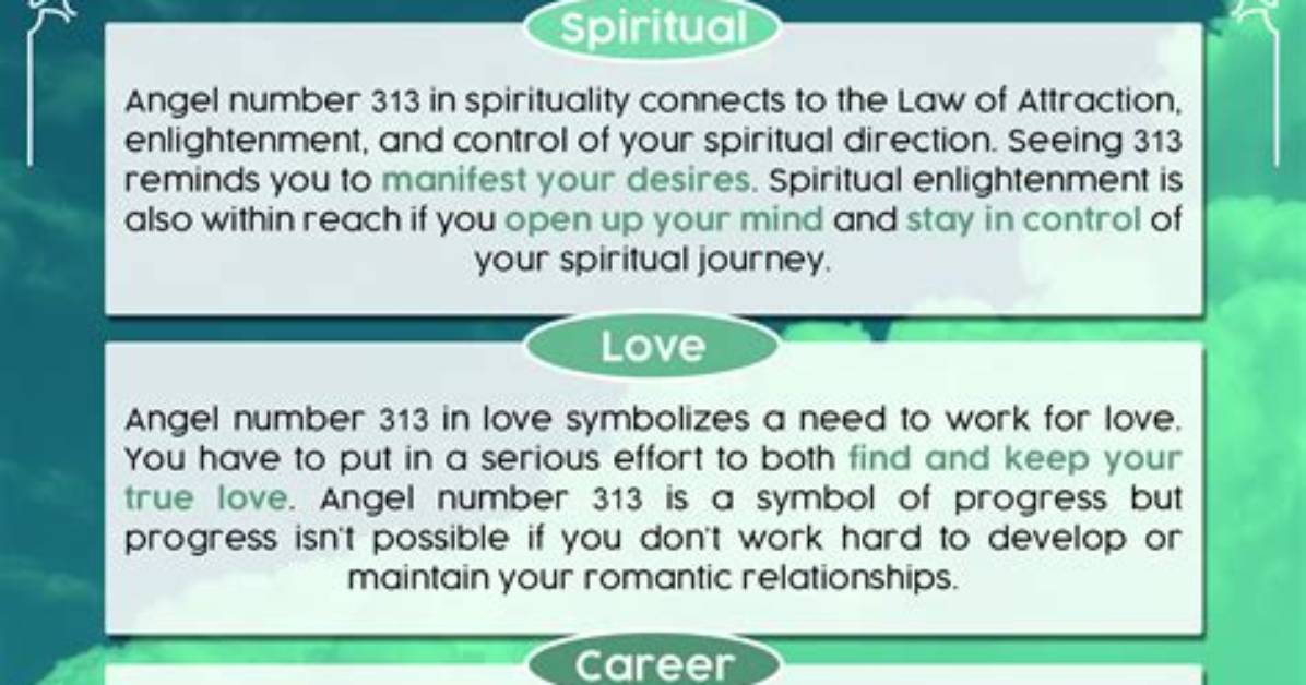 Meaning of 313 By