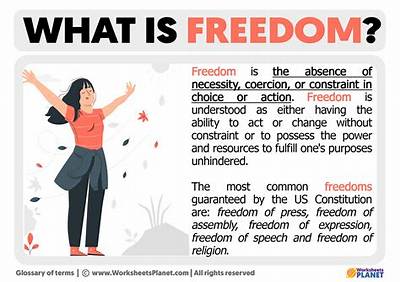 Meaning of a Great Day for Freedom by Pink Floyd