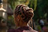 Meaning of A. I. with the Braids by Lil Wayne
