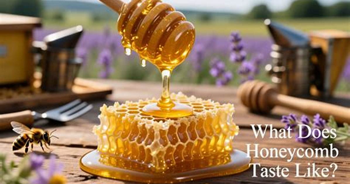Meaning of a Taste of Honey Live by The