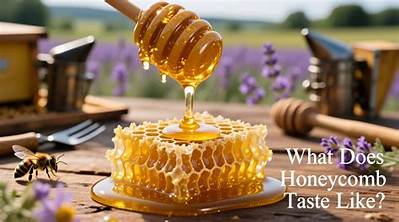 Meaning of a Taste of Honey (Live) by the Beatles