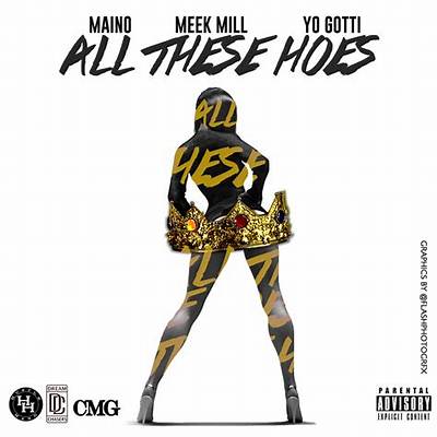 Meaning of All These Hoes by Meek Mill