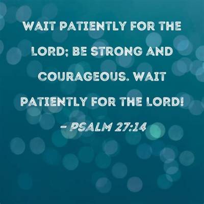 Meaning of and I Could Wait Patiently, but I Really Wish You Would