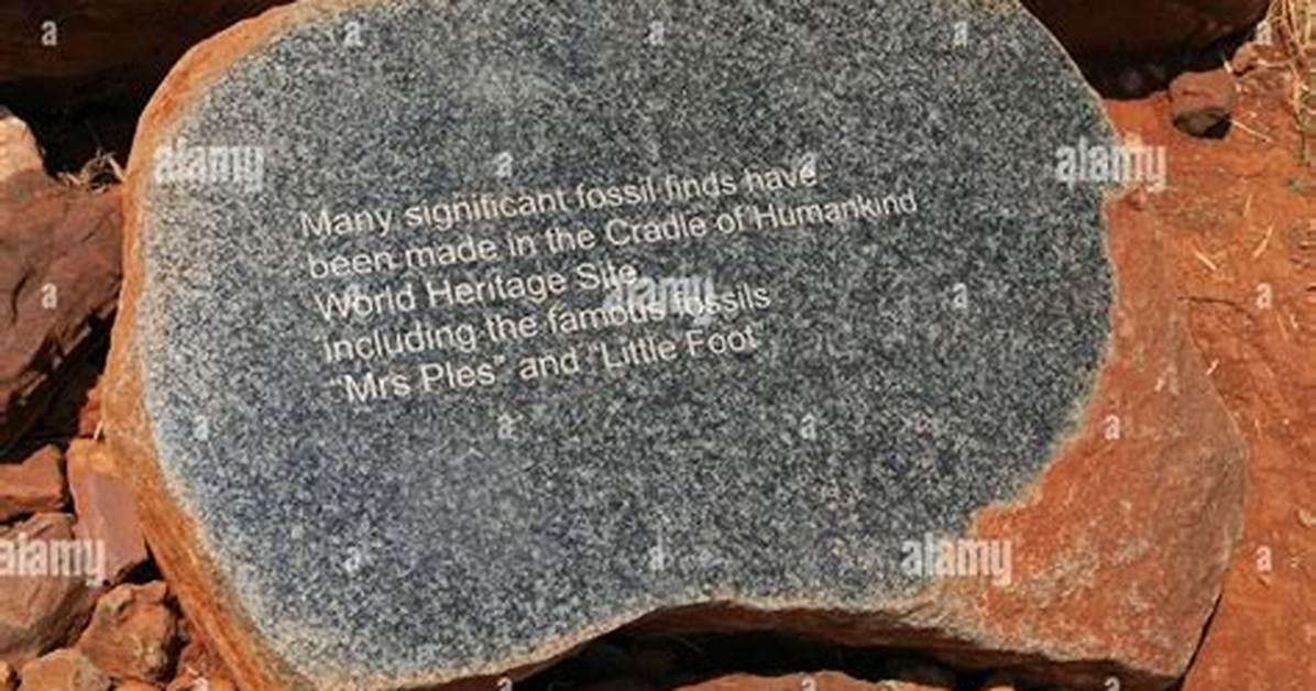 Meaning of and the Cradle Will Rock Live by Van