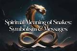 Meaning of and the Snakes Start to Sing by Bring Me the Horizon