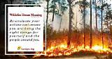 Meaning of and Your Wildfire Lies and Your Humiliation