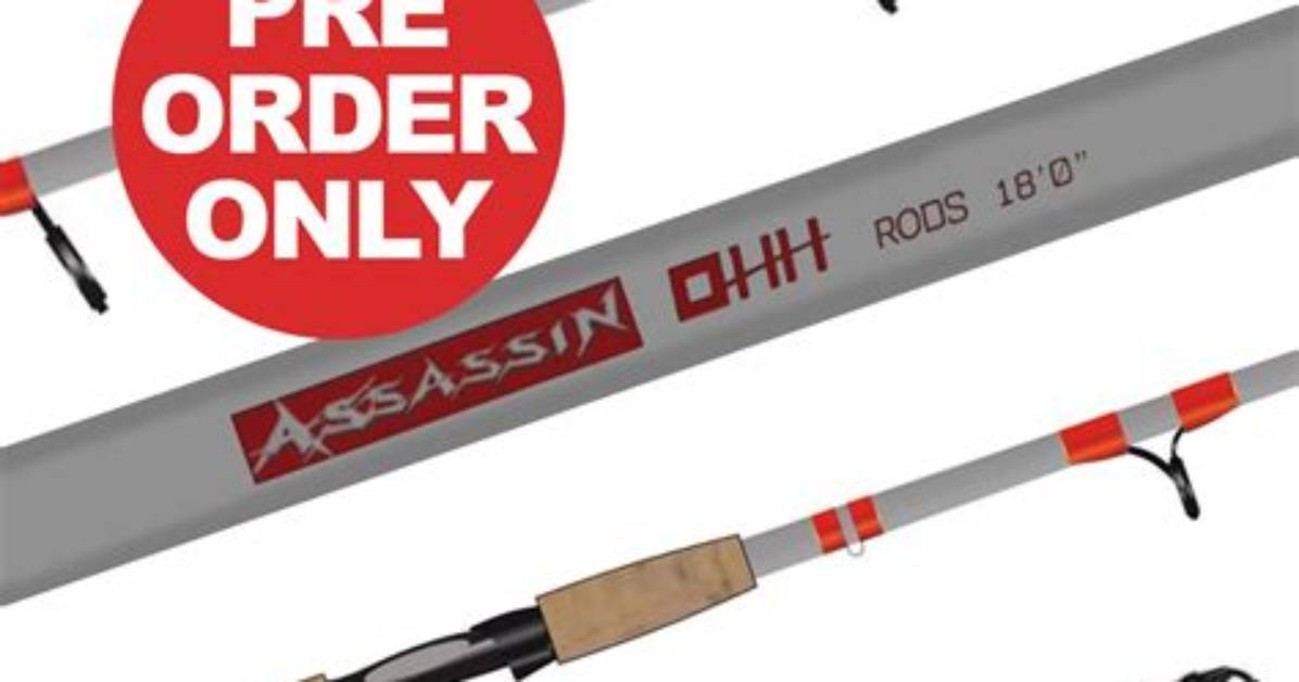 Meaning of Assassin by Rod