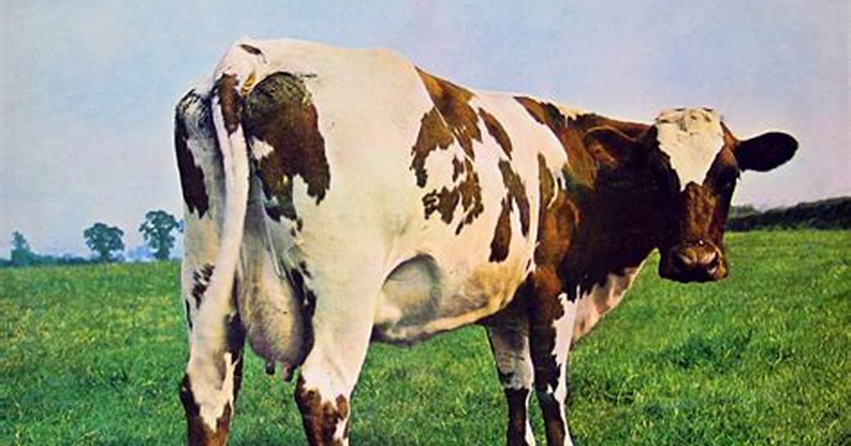 Meaning of Atom Heart Mother by Pink Floyd