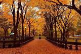 Meaning of Autumn in New York by Frank Sinatra