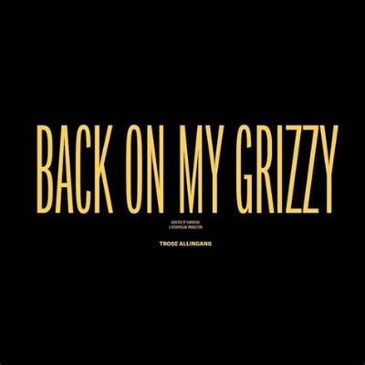 Meaning of Back on My Grizzy by Lil Wayne