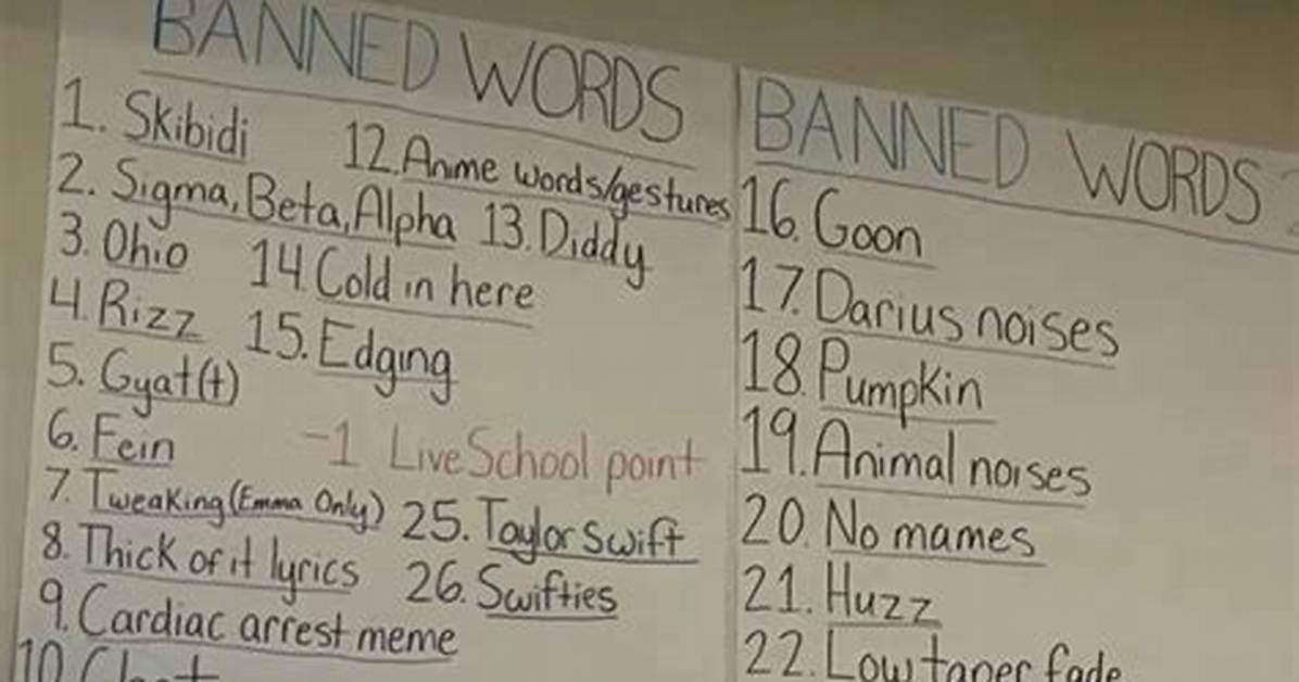 Meaning of Banned from T. V. by Lil Wayne