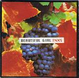 Meaning of Beautiful Girl by Inxs