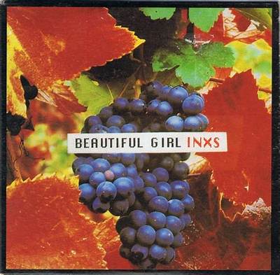 Meaning of Beautiful Girl by Inxs