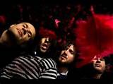 Meaning of Bicycle Song by Red Hot Chili Peppers