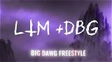 Meaning of Big Dawg (Remix) by Lil Wayne