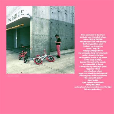 Meaning of Biking (Blonded. Co Version) by Frank Ocean