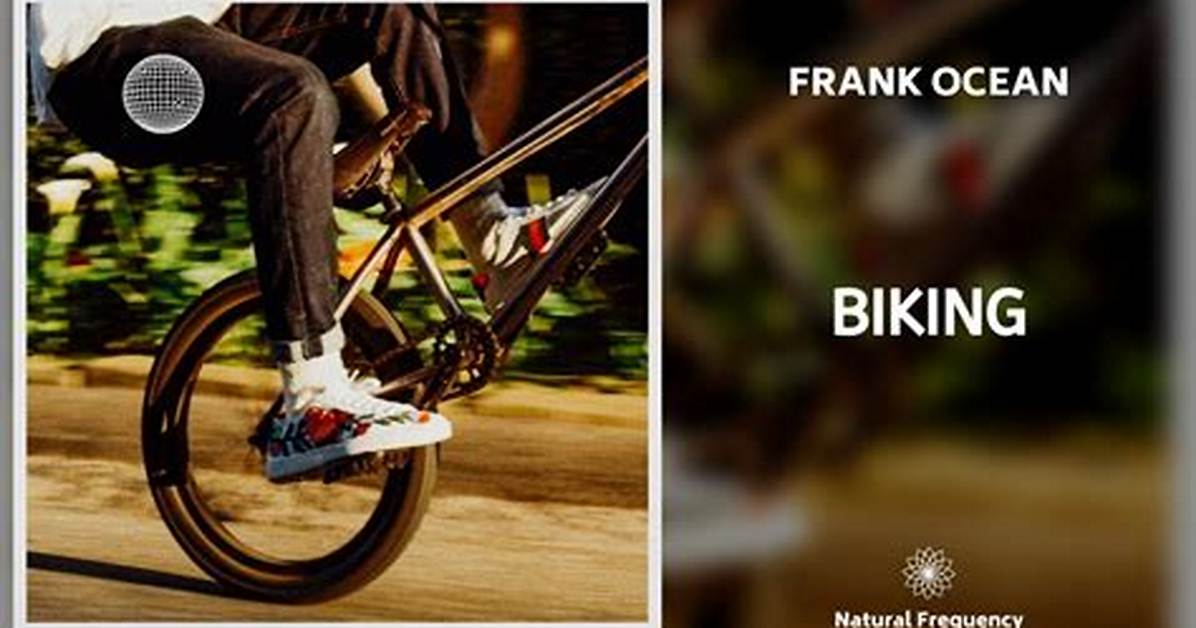 Meaning of Biking Solo by Frank