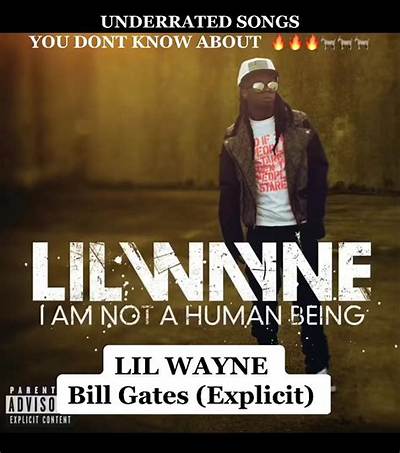 Meaning of Bill Gates Remix by Lil Wayne