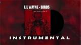 Meaning of Birds by Lil Wayne