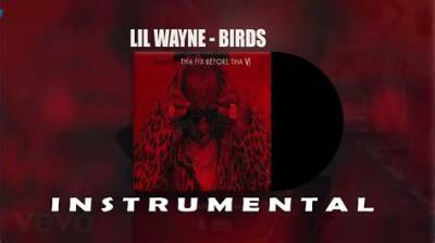Meaning of Birds by Lil Wayne