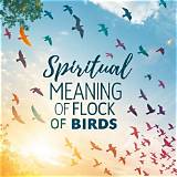 Meaning of Birds Flyin’ High by Lil Wayne