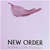 Meaning of Bizarre Love Triangle by New Order
