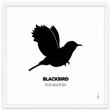 Meaning of Blackbird by the Beatles