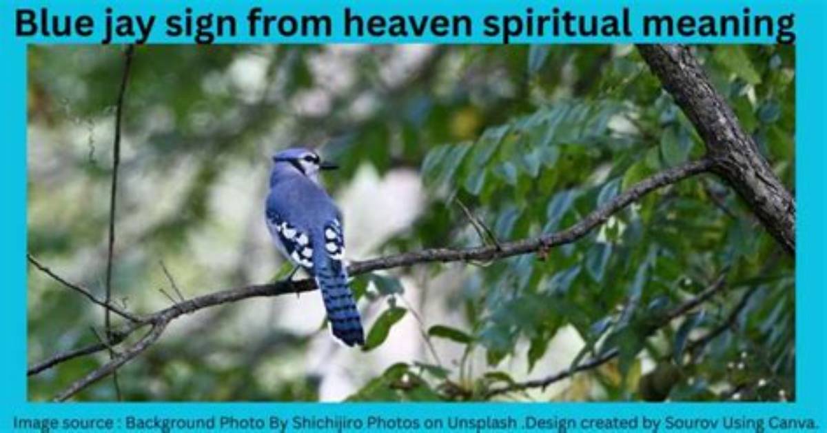 Meaning of Blue Heaven by The