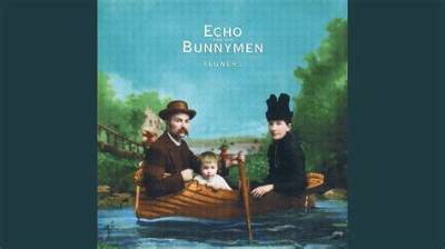Meaning of Buried Alive by Echo & the Bunnymen