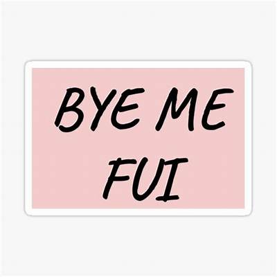 Meaning of Bye Me Fui by Bad Bunny