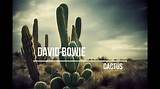 Meaning of Cactus by David Bowie