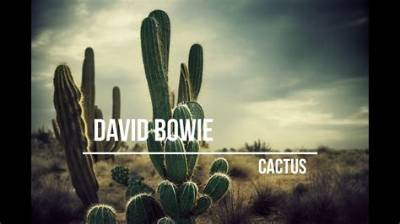 Meaning of Cactus by David Bowie