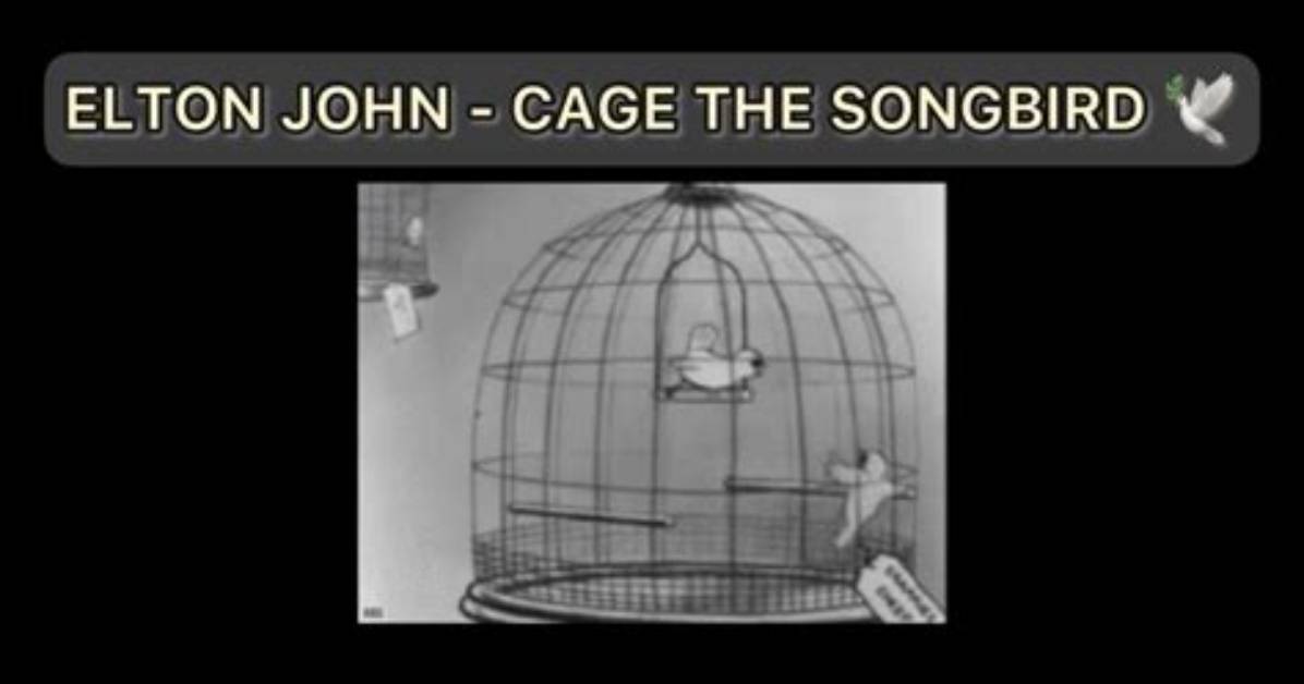 Meaning of Cage the Songbird by Elton