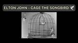 Meaning of Cage the Songbird by Elton John