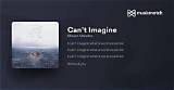 Meaning of Can’t Imagine by Shawn Mendes