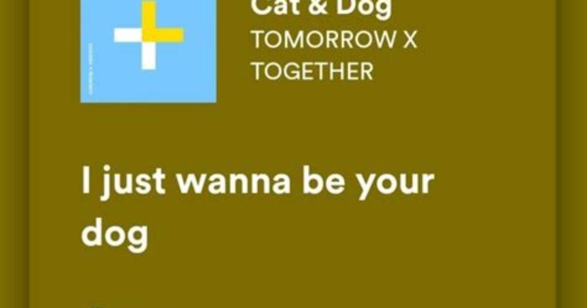 Meaning of Cat Dog by Tomorrow X